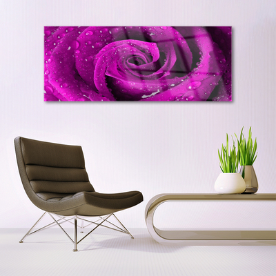 Acrylic Print Rose floral pink