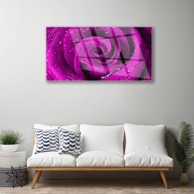 Acrylic Print Rose floral pink