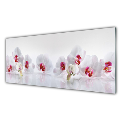 Acrylic Print Flowers floral white red