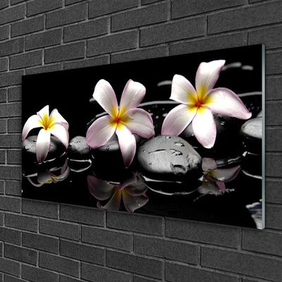 Acrylic Print Flower stones floral white yellow black