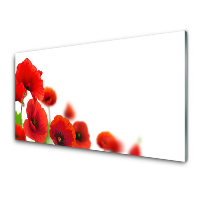 Acrylic Print Poppies floral red black green