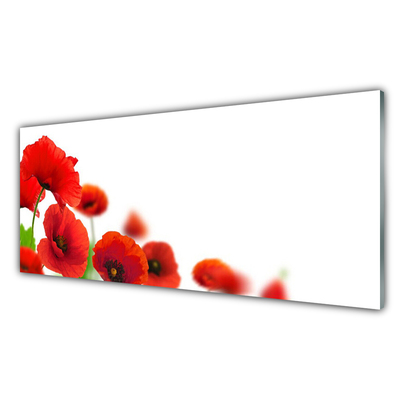 Acrylic Print Poppies floral red black green