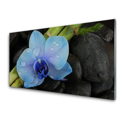 Acrylic Print Flower stones floral purple black