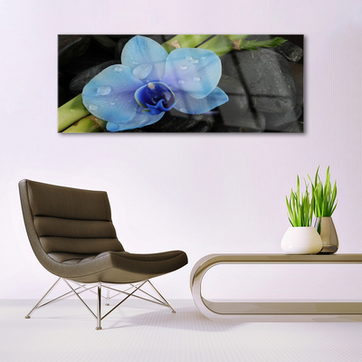 Acrylic Print Flower stones floral purple black