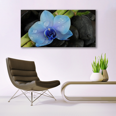 Acrylic Print Flower stones floral purple black