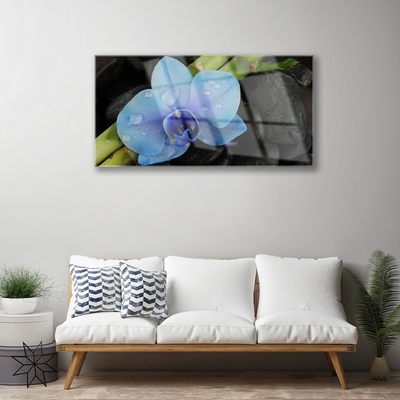 Acrylic Print Flower stones floral purple black