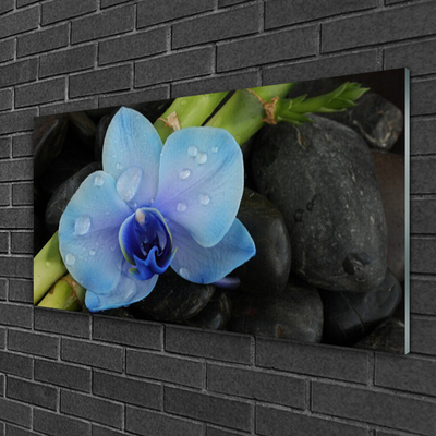 Acrylic Print Flower stones floral purple black