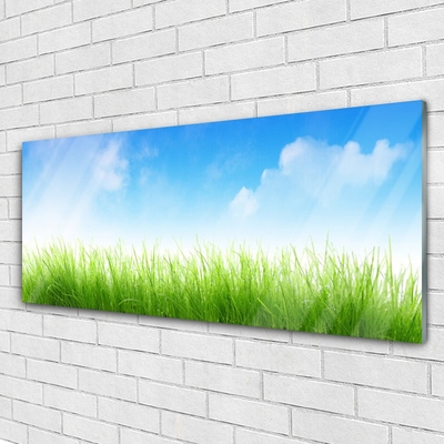 Acrylic Print Grass nature green