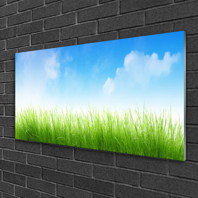 Acrylic Print Grass nature green