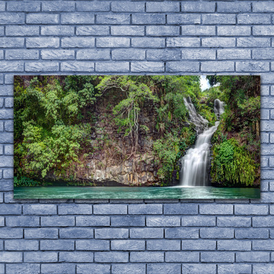 Acrylic Print Waterfall rock nature white blue grey green