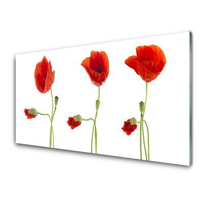 Acrylic Print Poppies floral red green