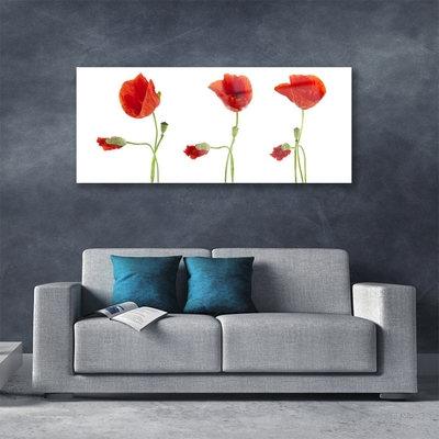 Acrylic Print Poppies floral red green