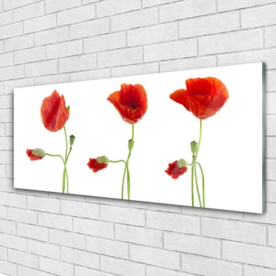 Acrylic Print Poppies floral red green