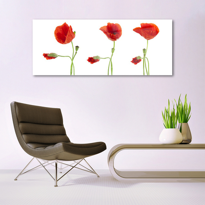 Acrylic Print Poppies floral red green