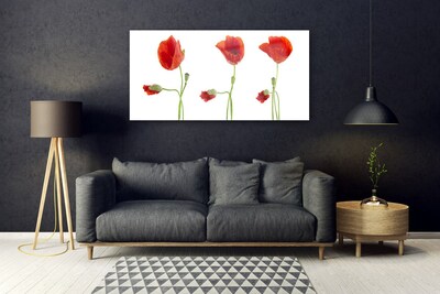 Acrylic Print Poppies floral red green