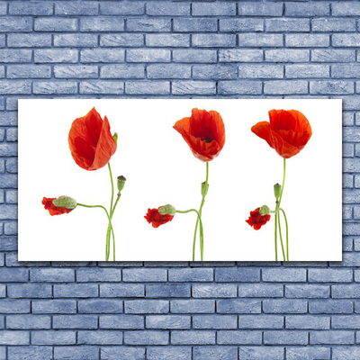 Acrylic Print Poppies floral red green