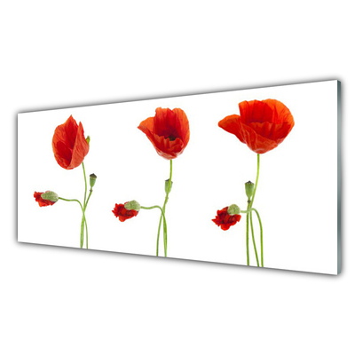 Acrylic Print Poppies floral red green