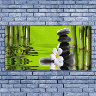 Acrylic Print Bamboo tube flower stones art green black white