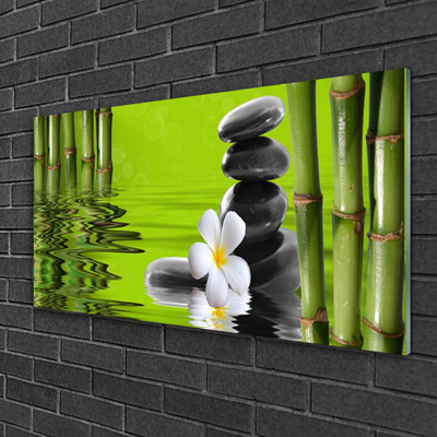 Acrylic Print Bamboo tube flower stones art green black white