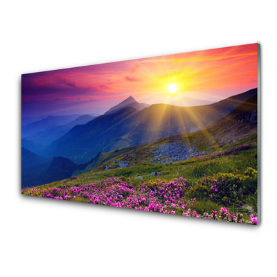 Acrylic Print Mountains flower meadow landscape blue pink green yellow