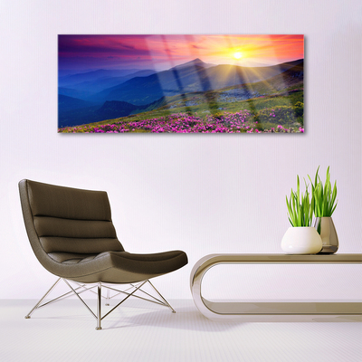Acrylic Print Mountains flower meadow landscape blue pink green yellow