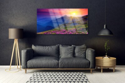 Acrylic Print Mountains flower meadow landscape blue pink green yellow