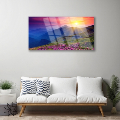 Acrylic Print Mountains flower meadow landscape blue pink green yellow