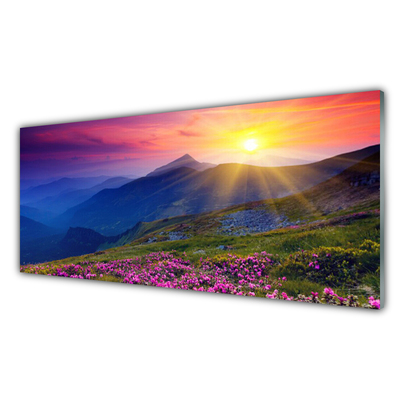 Acrylic Print Mountains flower meadow landscape blue pink green yellow