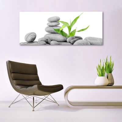 Acrylic Print Stones leaves art grey green