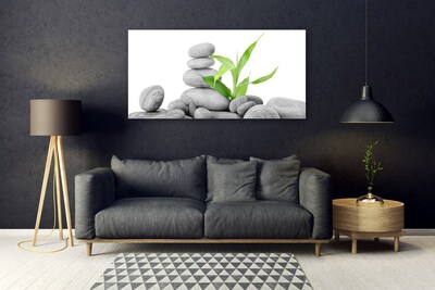 Acrylic Print Stones leaves art grey green