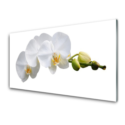 Acrylic Print Flowers floral white