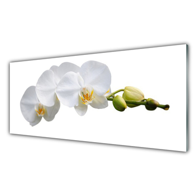 Acrylic Print Flowers floral white