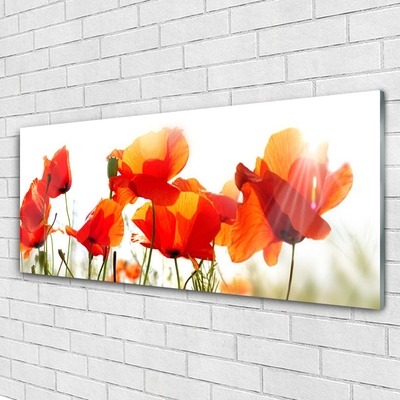 Acrylic Print Poppies floral red yellow