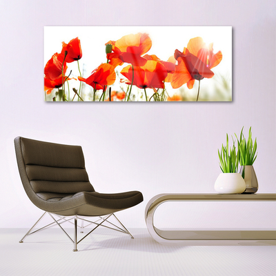 Acrylic Print Poppies floral red yellow