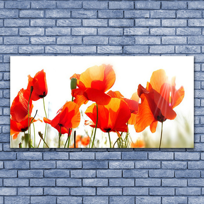 Acrylic Print Poppies floral red yellow