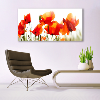 Acrylic Print Poppies floral red yellow