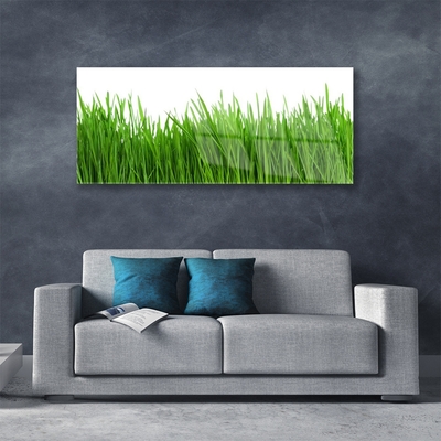 Acrylic Print Grass nature green