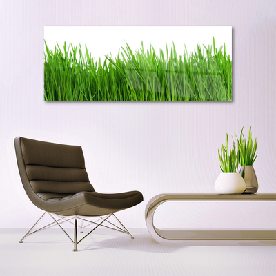 Acrylic Print Grass nature green