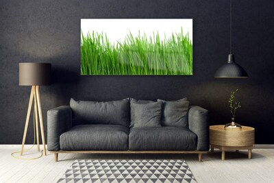 Acrylic Print Grass nature green