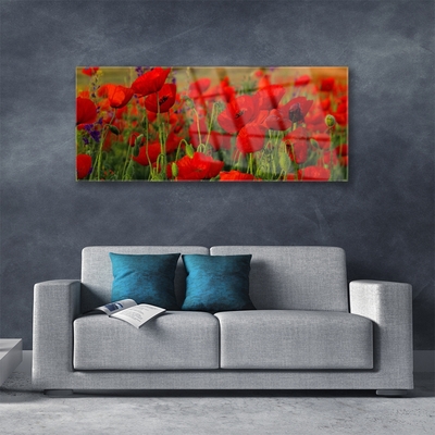 Acrylic Print Poppies floral red green