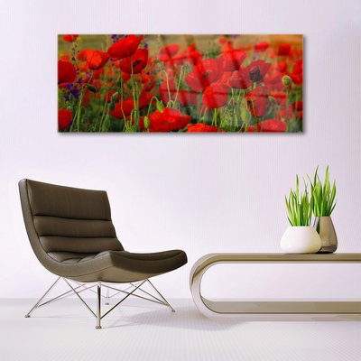 Acrylic Print Poppies floral red green