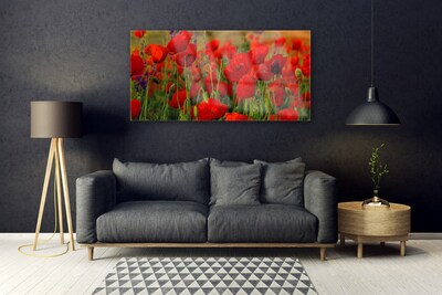 Acrylic Print Poppies floral red green