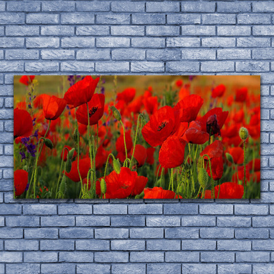 Acrylic Print Poppies floral red green