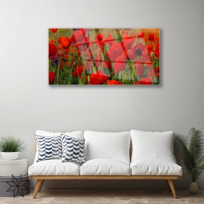 Acrylic Print Poppies floral red green