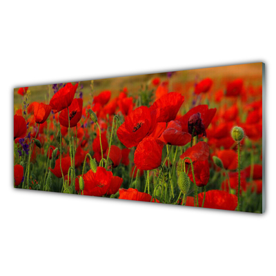 Acrylic Print Poppies floral red green