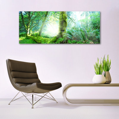 Acrylic Print Forest nature green