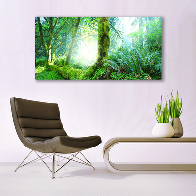 Acrylic Print Forest nature green