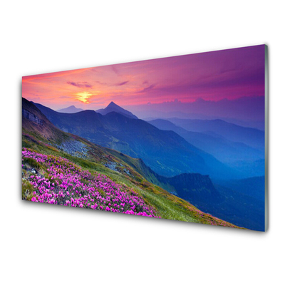 Acrylic Print Mountains meadow flowers landscape blue pink green yellow