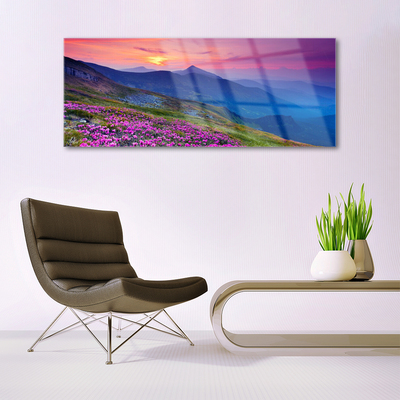Acrylic Print Mountains meadow flowers landscape blue pink green yellow