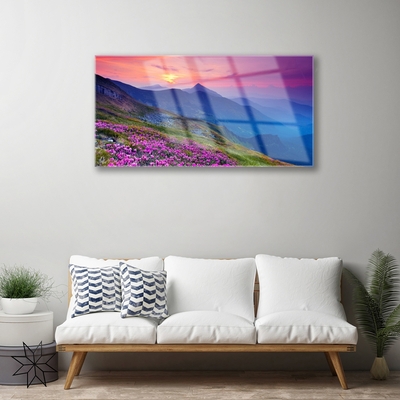 Acrylic Print Mountains meadow flowers landscape blue pink green yellow